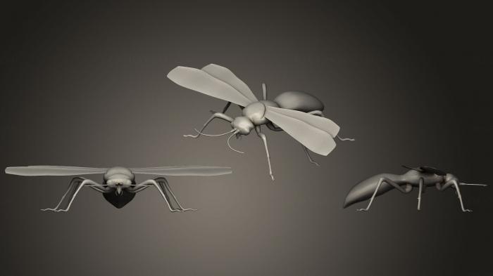 نموذج ثلاثي الأبعاد لآلة CNC الحشرات الرتيلاء هوك